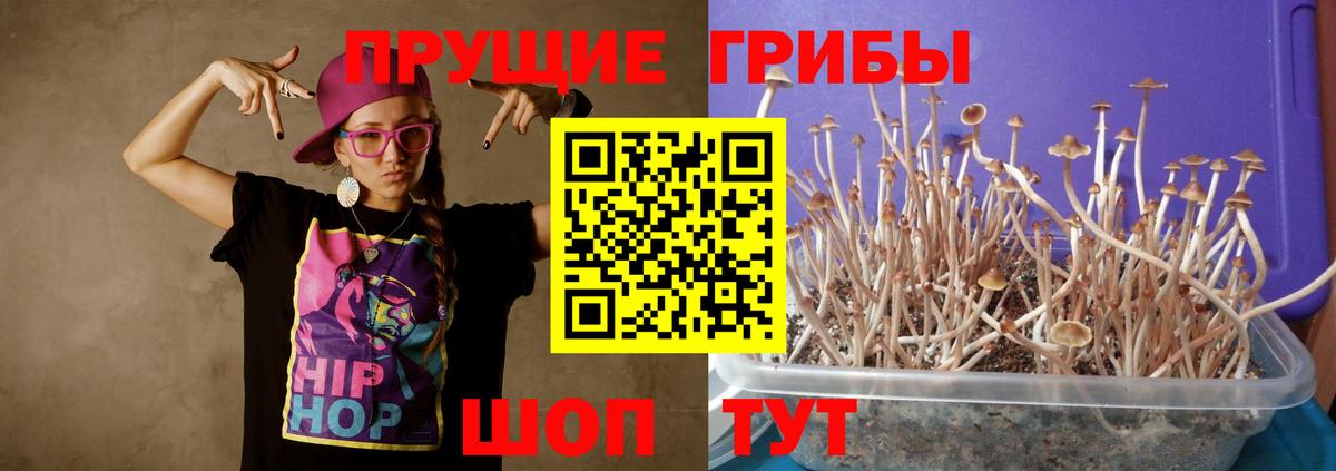 Псилоцибиновые грибы мухоморы  Галлюциногенные грибы мухоморы  Новоуральск  Вход с VPN 